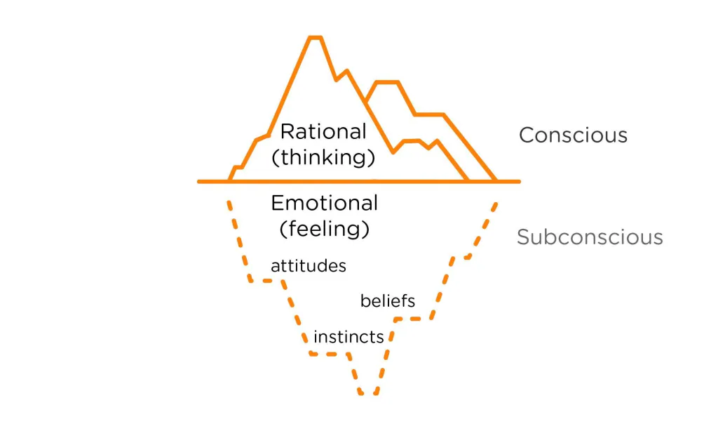 Designing with Users in Mind: From Insights to Interaction