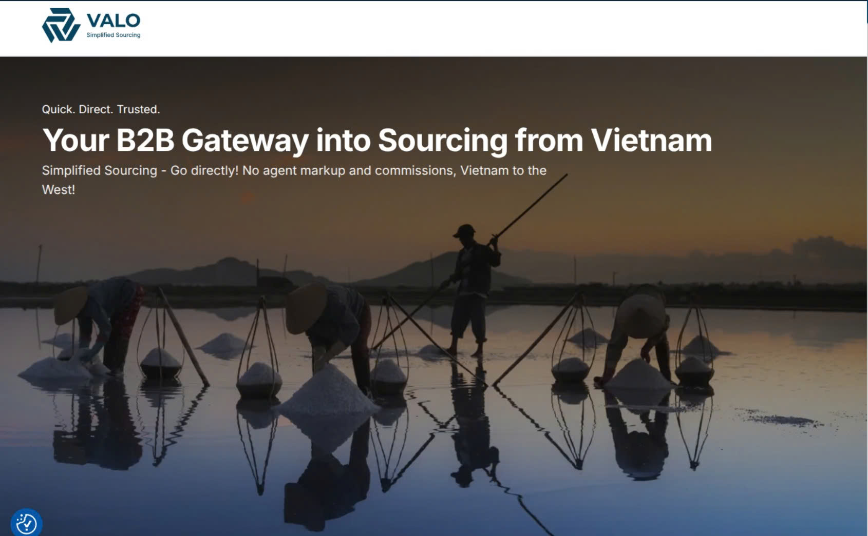VALO Vietnam website