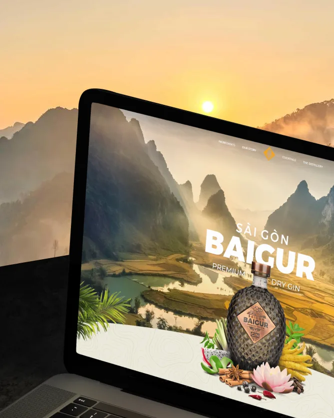 Saigon Baigur website designed in Saigon