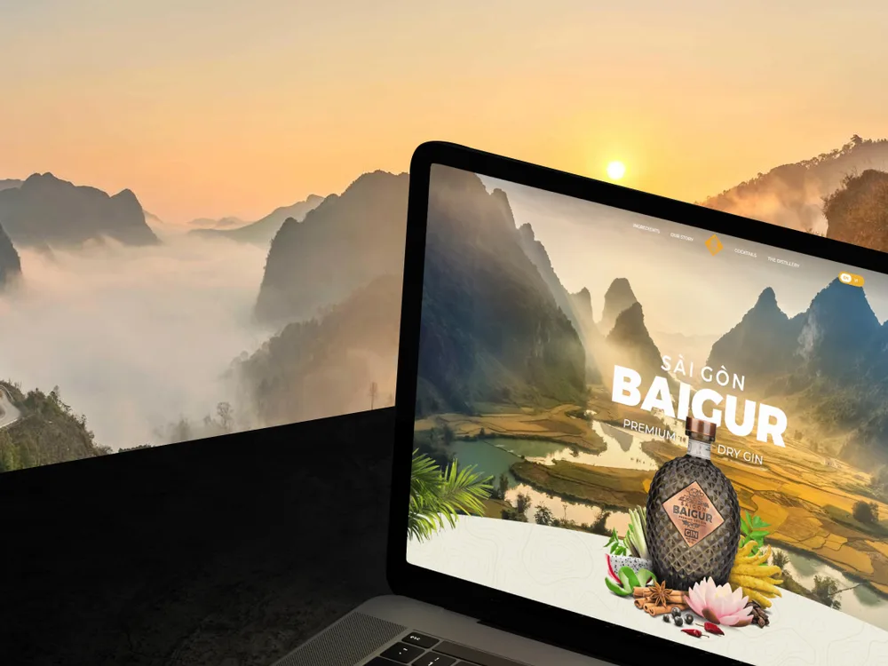 Saigon Baigur website